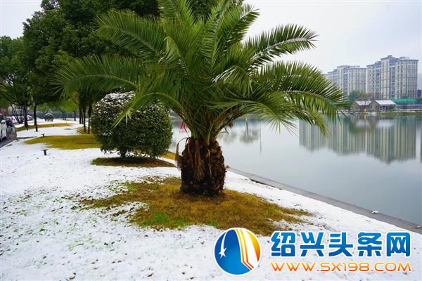 雪中金德隆-16