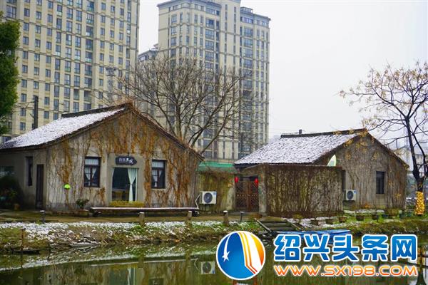 雪中金德隆-6