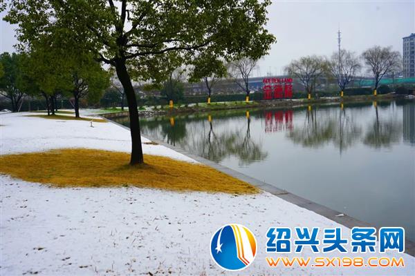 雪中金德隆-1