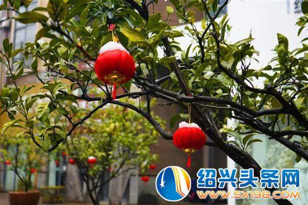 雪中金德隆-13