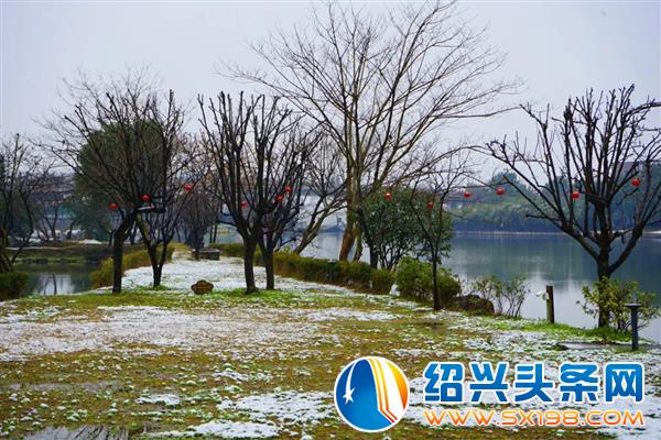 雪中金德隆-7