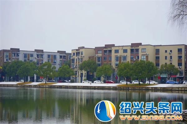 雪中金德隆-17