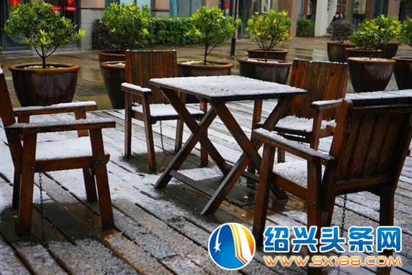 雪中金德隆-19