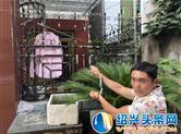 可恶!专偷漂亮裙子和旗袍 54岁“怪癖”男被刑拘