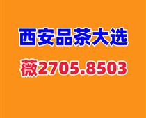 西安品茶海选经典再现T台大选实体店高端工作室喝茶场子