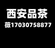 西安品茶大选工作室必看指南从新手到行家的进阶之路