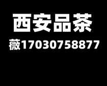 西安品茶大选工作室必看指南从新手到行家的进阶之路