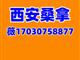西安桑拿17030758877䥩邂逅洗浴海选场子全城安排灯光走秀