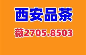 西安品茶T台大选工作室全城安排海选实体店自带工作室