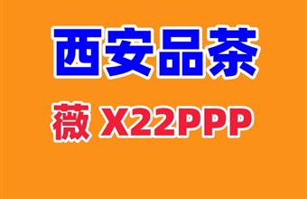 感受西安品茶工作室T台大选海选的热情招待！